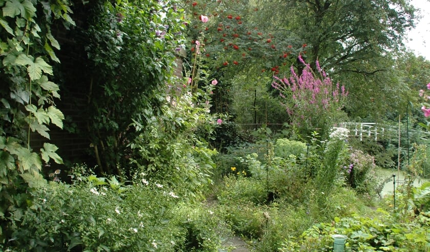 <p>Een natuurrijke tuin</p>