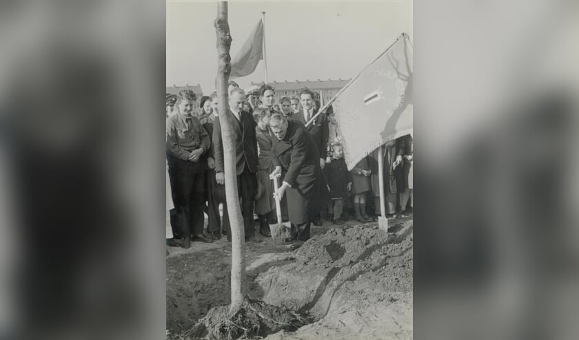<p>Delft werkt in maart 1946 hard aan de leefbaarheid van de stad: Burgemeester Van Baren plant een boom in het Wilhelminapark en er zijn grootse plannen voor het aanstaande eeuwfeest. (Foto: Van der Reijken, affiche Chapi; Stadsarchief Delft)</p>
