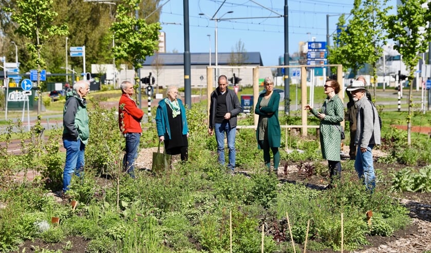 <p>(Foto: Koos Bommelé)</p>