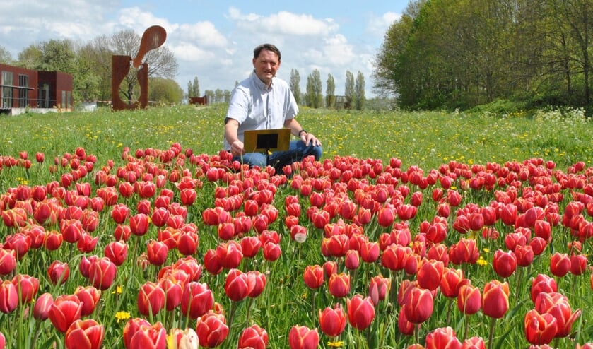<p>Voorzitter Hans Lodder bij het tulpenveldje, waar hij deze week een plaatje onthulde met daarop informatie over het doel van de tulpenactie </p>