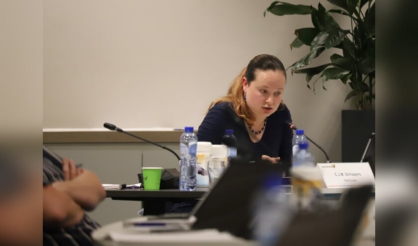 <p>Kirsten Schippers is door WeWa opnieuw naar voren geschoven als wethouderskandidaat. </p>