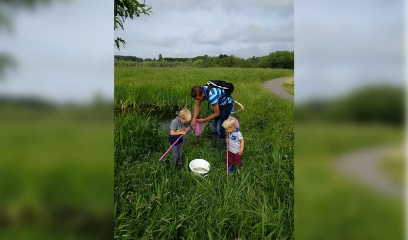 <p>In de regio onderzochten afgelopen zomer 250 mensen de kwaliteit van een sloot, singel of kleine plas in hun buurt.</p>