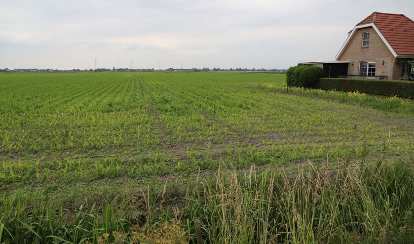 <p>In de Zuidplaspolder is bouwen onder NAP een van de uitdagingen.</p>