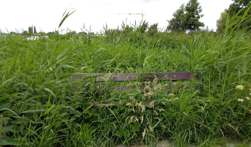 Zoek de bank.