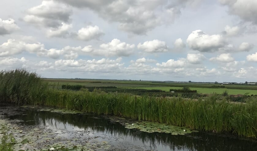 <p>De polder die wordt doorsneden door de Verlengde Bentwoudlaan.</p>