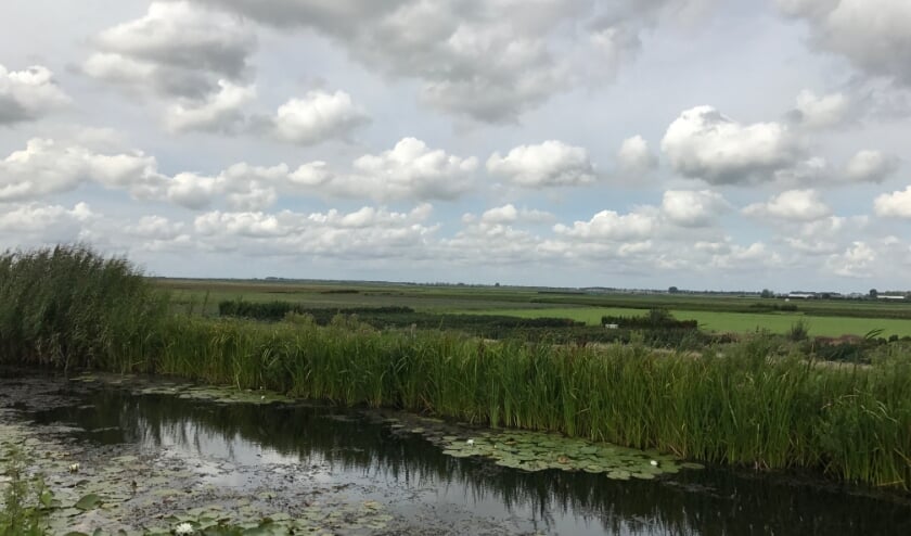 <p>De polder wordt doorsneden door de Verlengde Bentwoudlaan.</p>