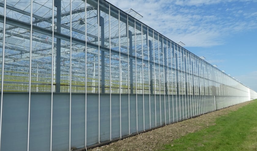 Geothermie wordt al gebruikt om bijvoorbeeld kassen van warmte te voorzien.