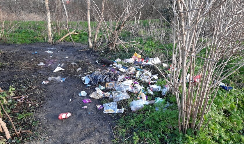 <p>Restafval bij de Petteplas.</p>