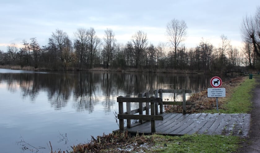 <p>'t Weegje waar met mooi weer ook nog wel eens een duik wordt genomen. (archieffoto Hart van Holland)</p>