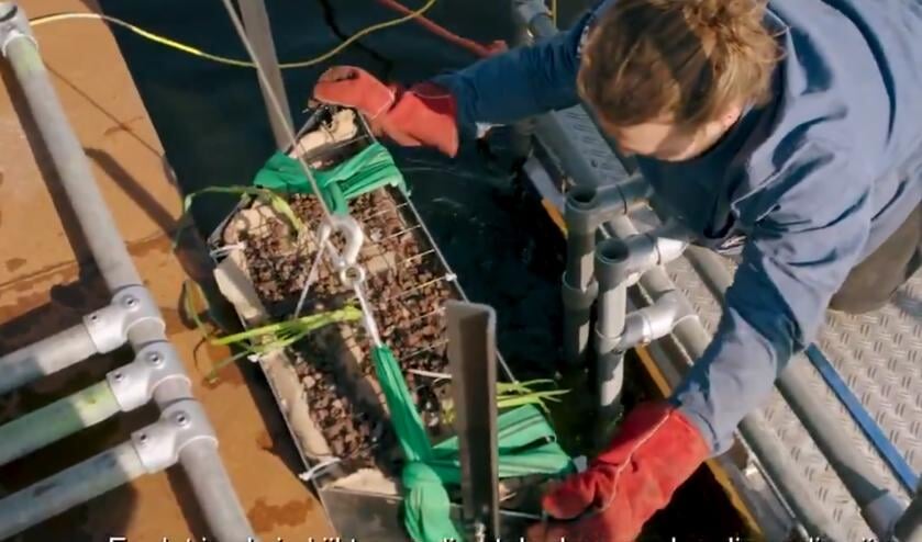 Videostill: de aquawand wordt geplaatst.