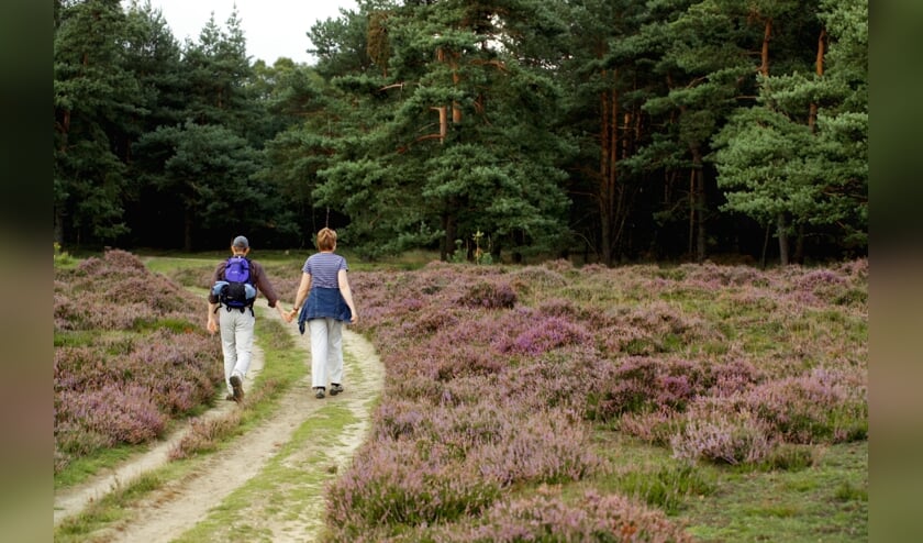 Het thema van deze wandeling is de herfst, het jaargetijde van oogsten en loslaten.