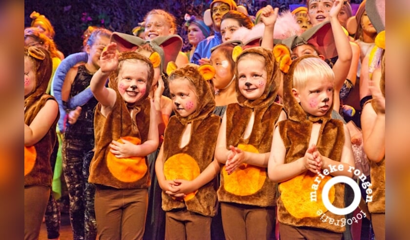 In september gaan de musicallessen weer van start!