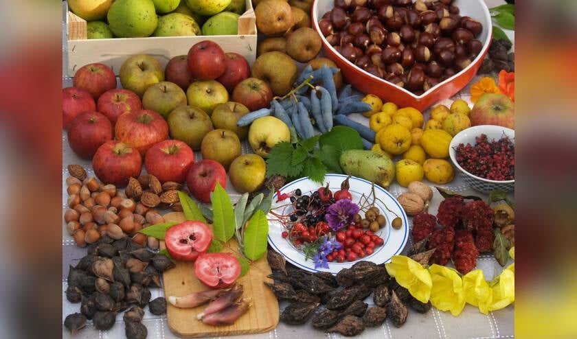 <p>SCM ’t Gèrmelaand wil alle Gèrme die een opkikkertje kunnen gebruiken verrassen met een fruitschaal<strong>.</strong> </p>