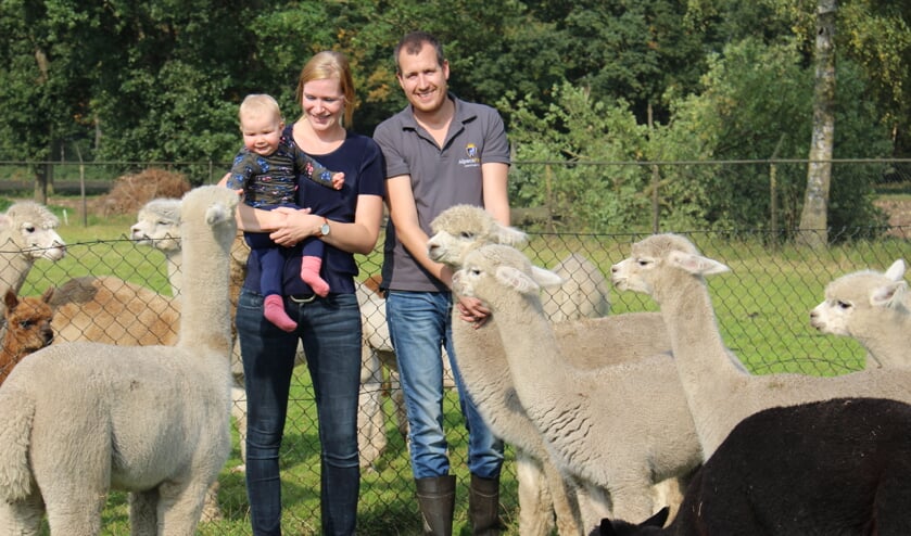 Willem-Mathijs, Anne en Evi (1) bij hun alpaca's.