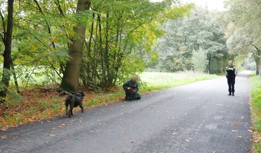 Bijtgrage honden zorgden voor consternatie in de Zevenhutten in Cuijk.