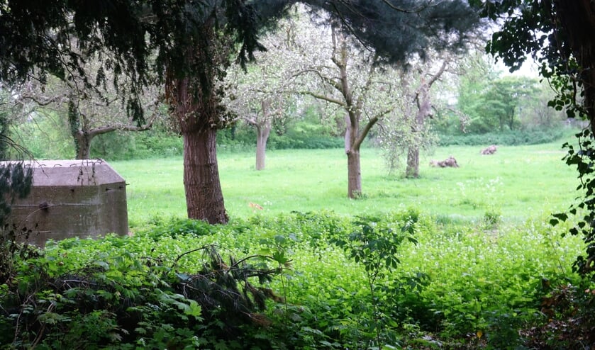 Visioterrein in Grave.
