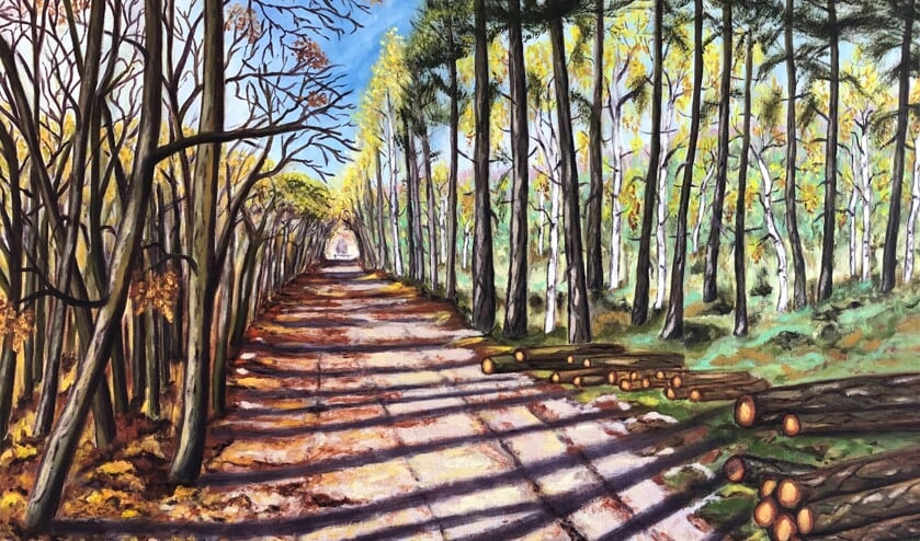 Schilderij 'De Schaduw Voorbij' van Yolande Idink. (Foto: Harry Verhoeven)