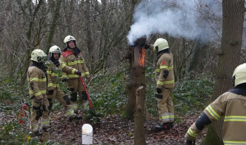 Brandweer opgeroepen voor brandende boomstronk. (Foto: Thomas)