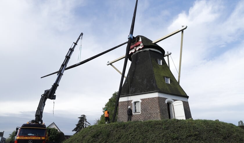 De Mariamolen in Haps krijgt nieuwe wieken. (foto: SK-Media)