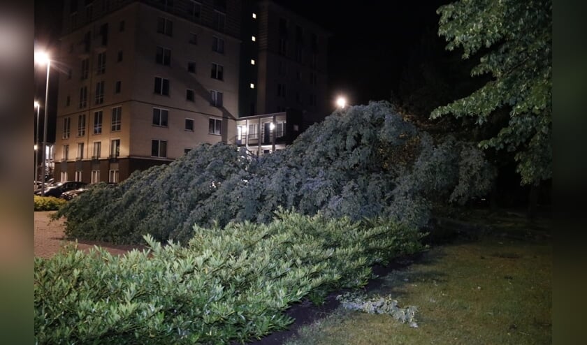 Op de parkeerplaats bij het Ketelhuis in Gennep viel een boom.