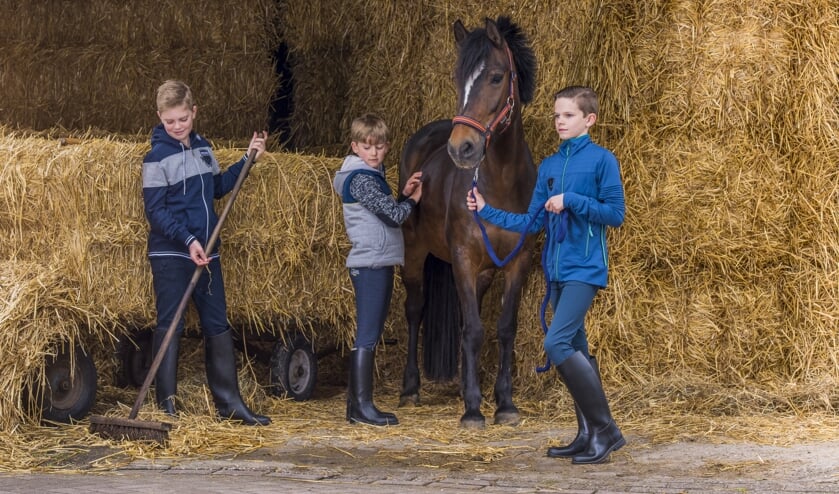 Open manegedag bij Bergamo in Heijen. (foto: Sushilla Kouwen)