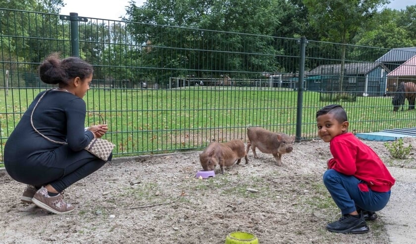 Met de opbrengst wil de kinderboerderij het voerhok voor dieren moderniseren (foto: Peter Noy)