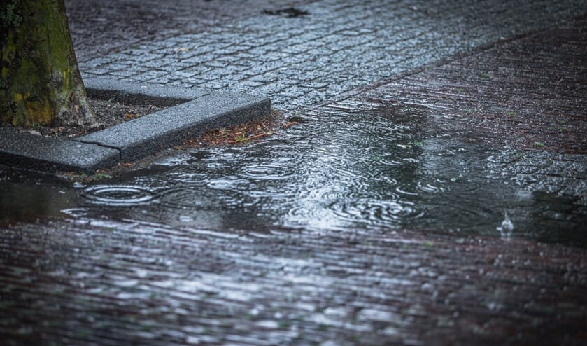 <p>Ruim drie kwart van de inwoners van Waterschap Aa en Maas vindt dat ze zelf iets moeten doen om wateroverlast te voorkomen </p>