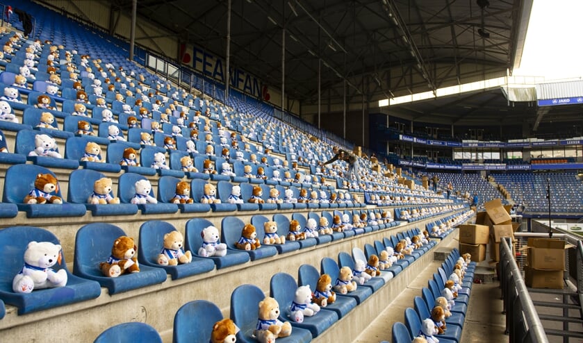 Foto van de beren (MSD)