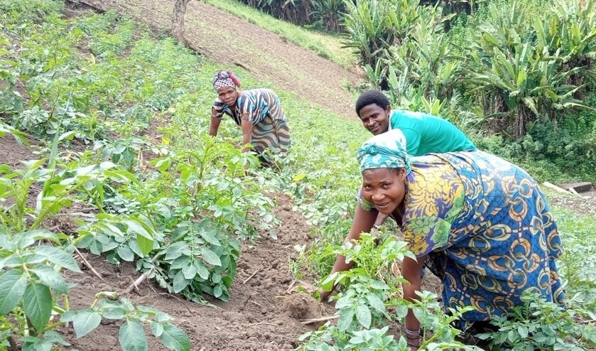 <p>De parochie Maria, Moeder van de Kerk steunt dit jaar het project ‘Akkers voor ontheemde gezinnen in DR Congo’ </p>
