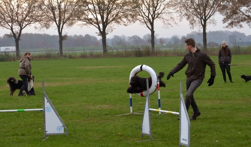 <p>Enthousiaste honden én baasjes tijdens een cursus. (foto: Henk Lunenburg)</p>