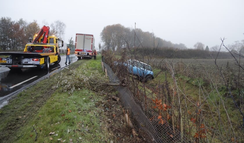 Zowel een kleine boom als meerdere paaltjes zijn door de auto geraakt.