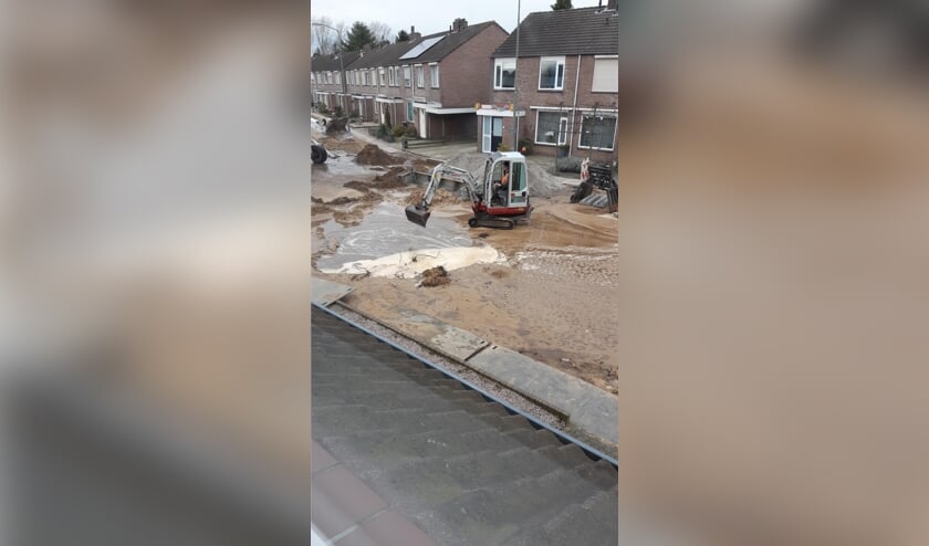 De Peellaan in Oss. (Foto: Teus van de Kuijlen)
