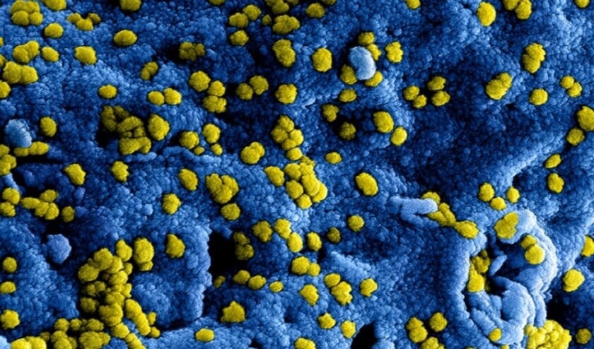 De cijfers rondom het coronavirus zijn nu een week lang hetzelfde gebleven.