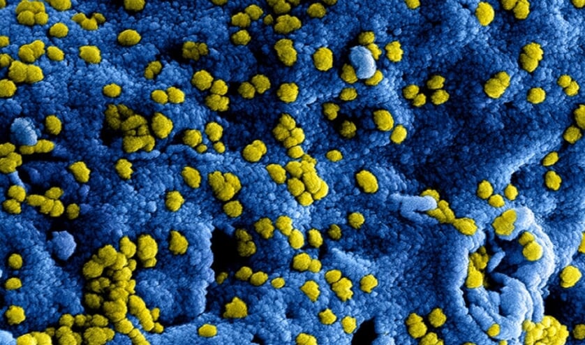 Morgen wordt er meer bekend gemaakt over de verlenging van de huidige maatregelen rondom het coronavirus.