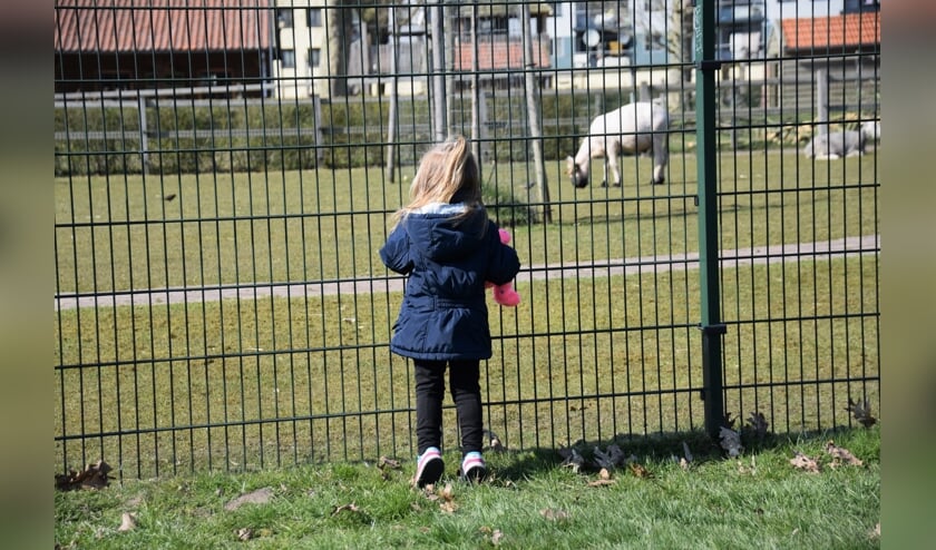 Foto van de week. Tonnie van de Wal.