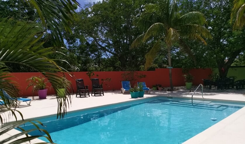 Het zwembad van het Abaai Resort.
