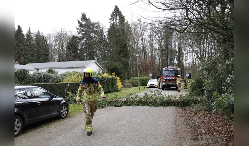 Door de harde wind is er in Plasmolen een boom omgewaaid.
