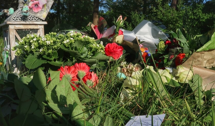<p>Bloemen op de Julianasingel. (Foto: Gabor Heeres, Foto Mallo)</p>