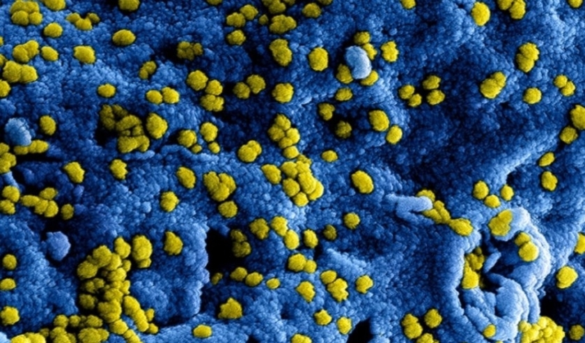 Opnieuw is er in de gemeente Cuijk iemand overleden aan de gevolgen van het coronavirus.