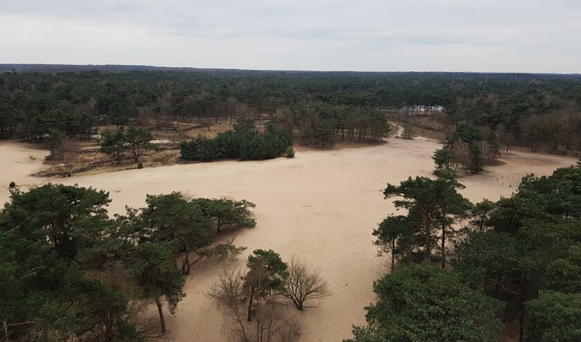 Het uitzicht vanaf de uitkijktoren in Herperduin.