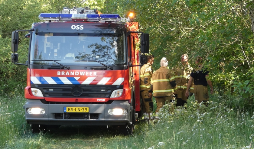 Foto Thomas