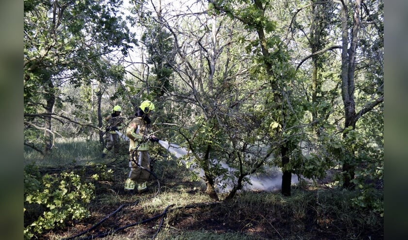 De brandweer was snel ter plaatse om het vuur te doven.