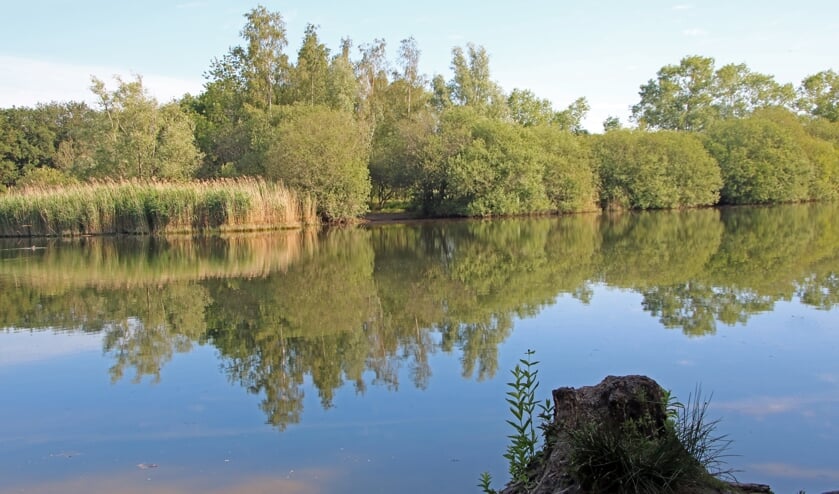 <p>Foto van Bomenpark in Heesch. (Foto: Jo van Herpen)</p>