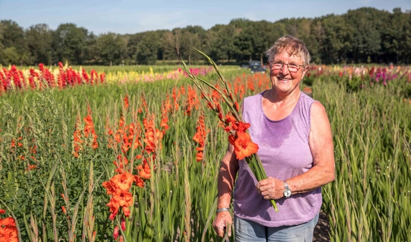 Mien Denissen tussen de gladiolen. (foto: Peter Noy)