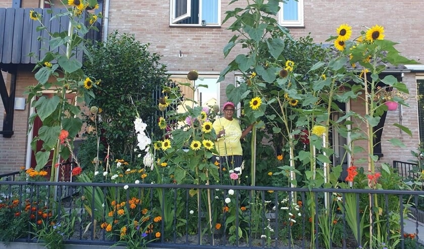 Sonja tussen de gigantische zonnebloemen: "Ik vind dit zo bijzonder!"