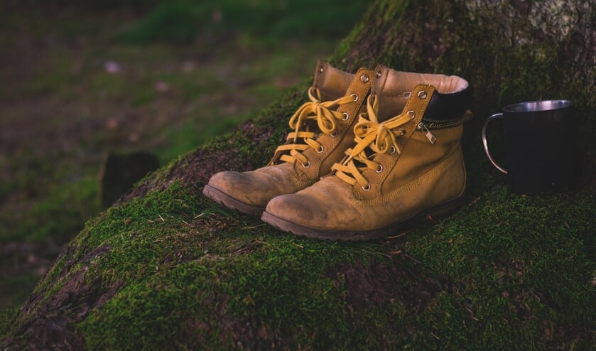Wandelschoenen.