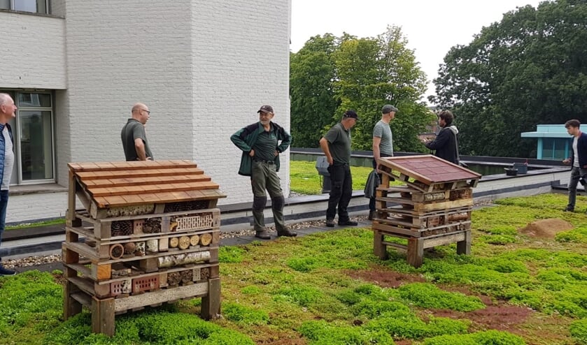 Bijenhotels geplaatst op het groene dak van het Osse gemeentehuis. (Foto: Tonnie van Hooff, Twitter)
