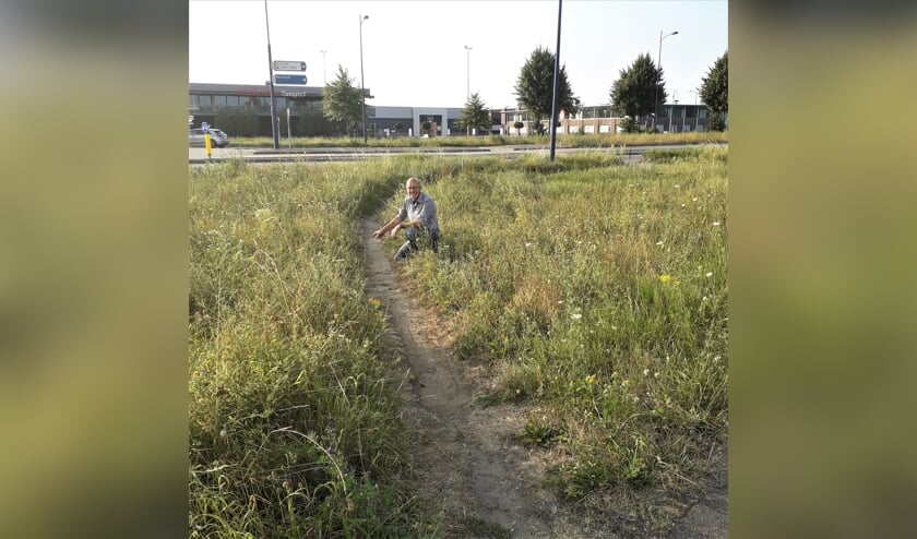 Een mooi voorbeeld van een Olifantenpaadje in Veghel ter hoogte van Doornhoek/Corridor.
