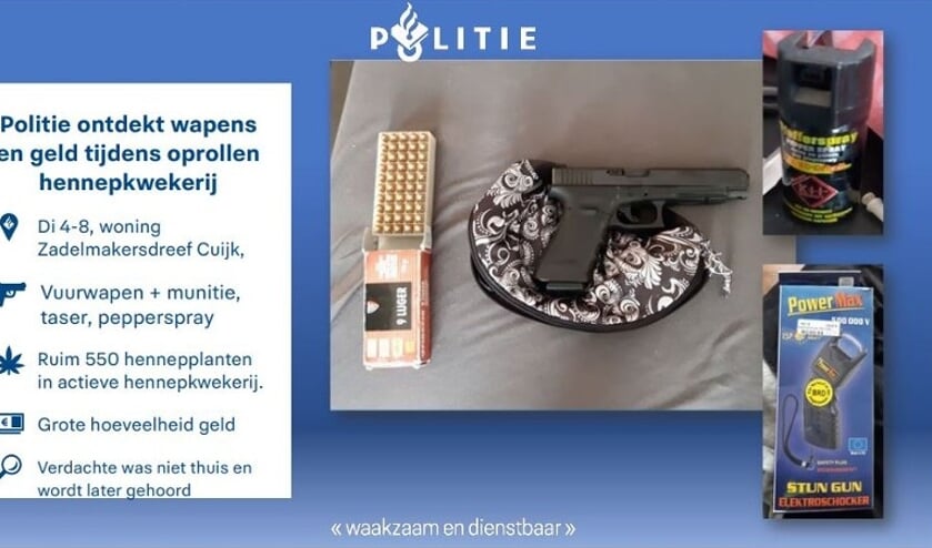 Naast ruim 500 wietplanten trof de politie ook een grote hoeveelheid geld, een vuurwapen met munitie, een taser en pepperspray aan.