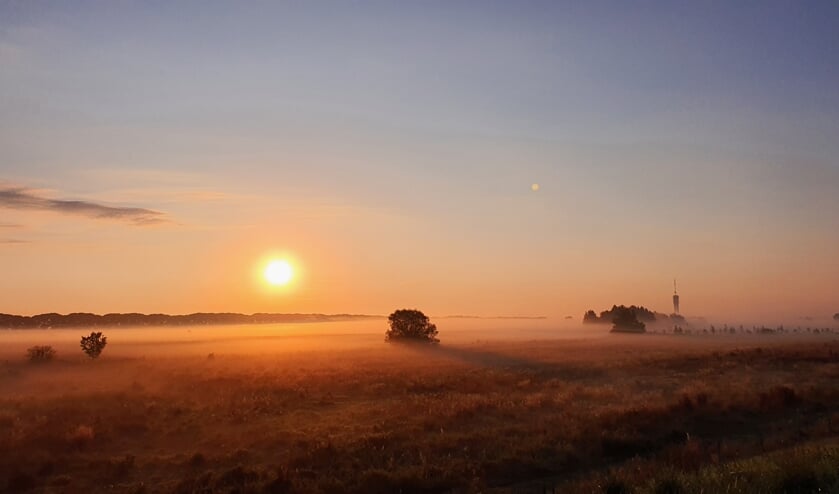 Foto van de week tussen Megen en Haren. (Foto: Kitty Hendriks)
